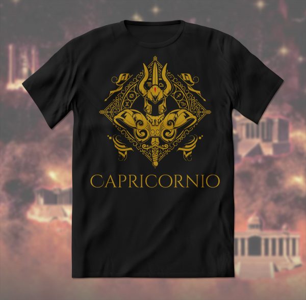 p-capricornio-110523
